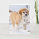 Pesquisar por cute puppy cartoes Dogs