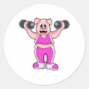 Pesquisar por bodybuilding adesivos Carroça