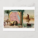 Pesquisar por egypt cartoes postais Camelo