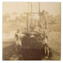 Pesquisar por banco azulejos Belas artes