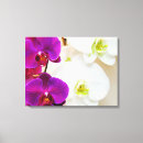 Pesquisar por orquídeas impressão de canvas Tropicais