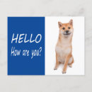 Pesquisar por shiba inu cartoes Cão