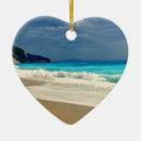 Pesquisar por mar ornamentos Praia tropical