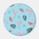 Pesquisar por flamingo tropical imas Bonito