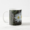 Pesquisar por aster canecas Qualquer pessoa