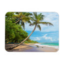 Pesquisar por palmas imas Mar