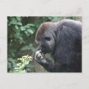Pesquisar por macaco pensamento Animal