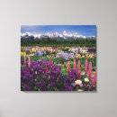 Pesquisar por flores coloridas impressão de canvas Íris