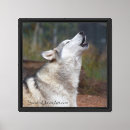 Pesquisar por lobo posters impressão de canvas Canino