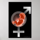 Pesquisar por feto pôsteres pósteres Reprodução