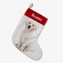 Pesquisar por golden retriever meias de natal Cão