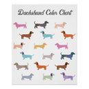 Pesquisar por cão de salsicha pósteres Fofofo