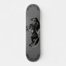 Pesquisar por cavalo preto skates Animal