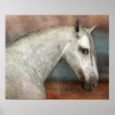 Pesquisar por cinzento pôsteres pósteres Cavalo