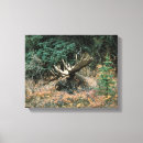 Pesquisar por fino impressão de canvas Paisagem