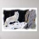 Pesquisar por lobos brancos pôsteres pósteres Pintura