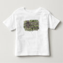 Pesquisar por cercas camisetas Rural