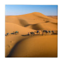 Pesquisar por camelos azulejos Deserto