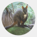 Pesquisar por canguru australiano adesivos Marsupial