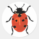 Pesquisar por ladybird adesivos Natureza