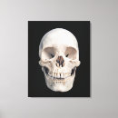 Pesquisar por anatomia humana impressão de canvas Biologia