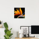 Pesquisar por flores poster plantas pôsteres pósteres Botânico