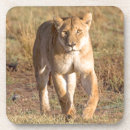 Pesquisar por serengeti porta copos Leão