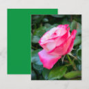 Pesquisar por nostalgia cartoes Rosa