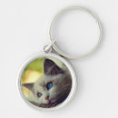 Pesquisar por ragdoll chaveiros Gatinho
