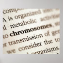 Pesquisar por cromossomas pósteres Biologia