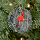 Pesquisar por cardinal ornamentos Feriado