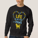 Pesquisar por gato peludo roupas Para ele