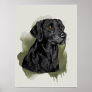 Pesquisar por labrador retriever preto pôsteres pósteres Qualquer pessoa