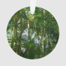 Pesquisar por da natureza ornamentos Fotografia