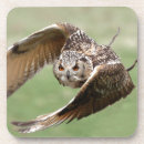 Pesquisar por carnivora porta copos Pássaro