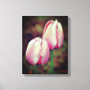 Pesquisar por arte da tulipa impressão de canvas Para ela