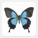 Pesquisar por borboleta preta e azul adesivos Bonito