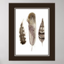 Pesquisar por escandinavos pósteres Pássaro