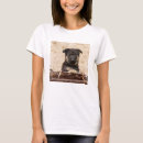 Pesquisar por camisas do german shepherd t camisetas Animal