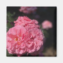 Pesquisar por adorável imanes Flores