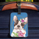 Pesquisar por buldogue francês bagagem tags Flores