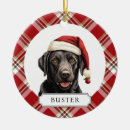 Pesquisar por labrador retriever ornamentos Fofo