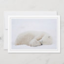 Pesquisar por urso polar bonito cartoes Inverno