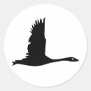 Pesquisar por silhueta adesivos Pássaro