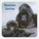 Pesquisar por gorilla adesivos Primatas