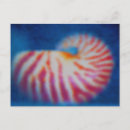Pesquisar por sea shell cartoes postais Praia