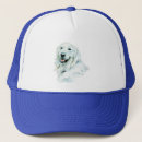 Pesquisar por do golden retriever acessorios Canino