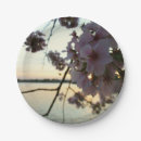 Pesquisar por cherry blossom pratos Flor