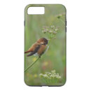Pesquisar por colibris iphone capas Zumbido