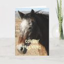 Pesquisar por funny horse cartoes Western